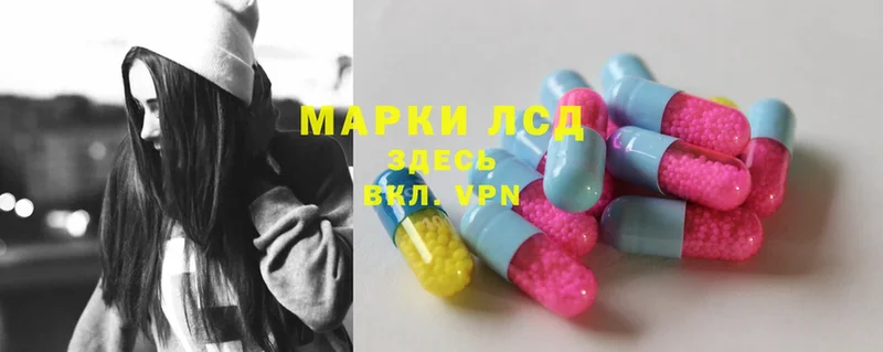 LSD-25 экстази кислота  МЕГА как зайти  Курлово  купить наркотик 